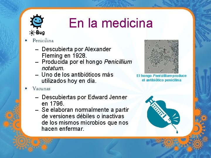 En la medicina • Penicilina – Descubierta por Alexander Fleming en 1928. – Producida