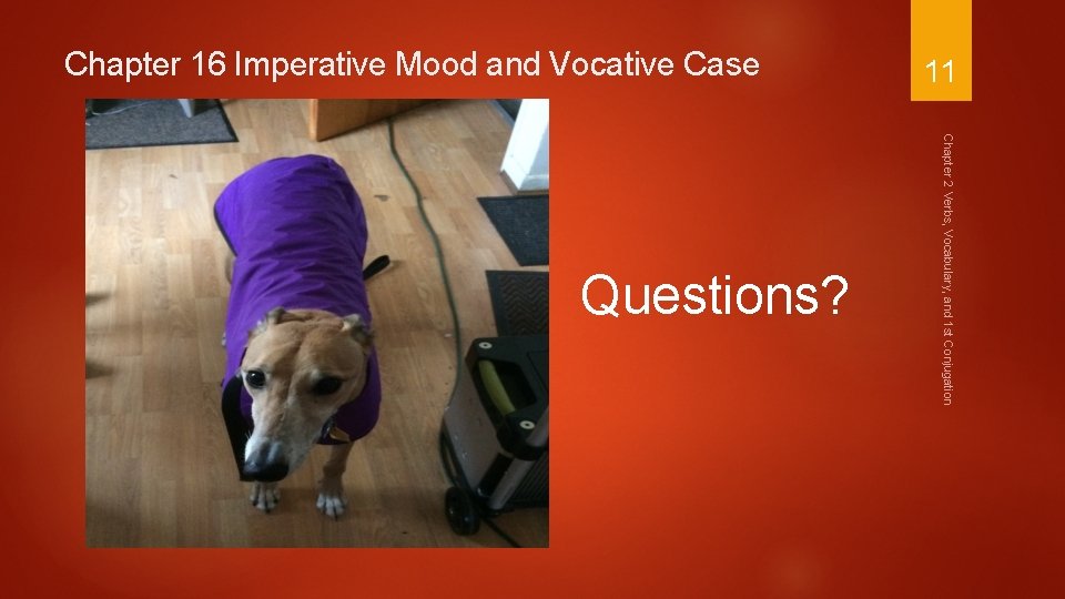 Chapter 16 Imperative Mood and Vocative Case Chapter 2 Verbs, Vocabulary, and 1 st