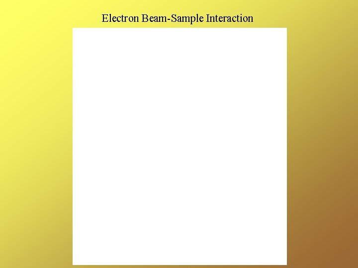 Electron Beam-Sample Interaction 