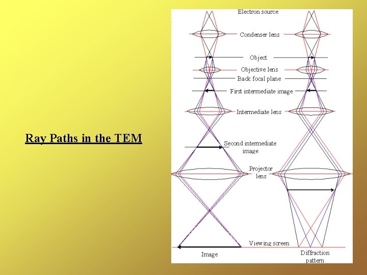 Ray Paths in the TEM 