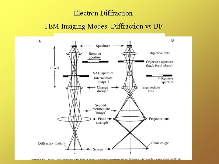 Electron Diffraction TEM Imaging Modes: Diffraction vs BF 