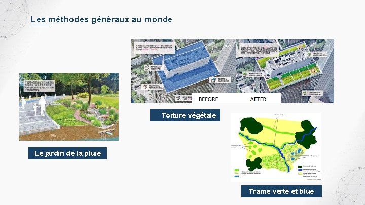 Les méthodes généraux au monde Toiture végétale Le jardin de la pluie Trame verte