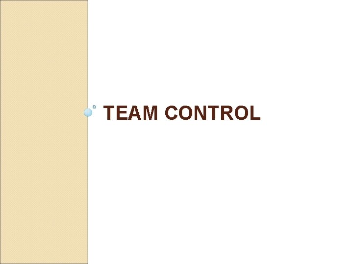 TEAM CONTROL 