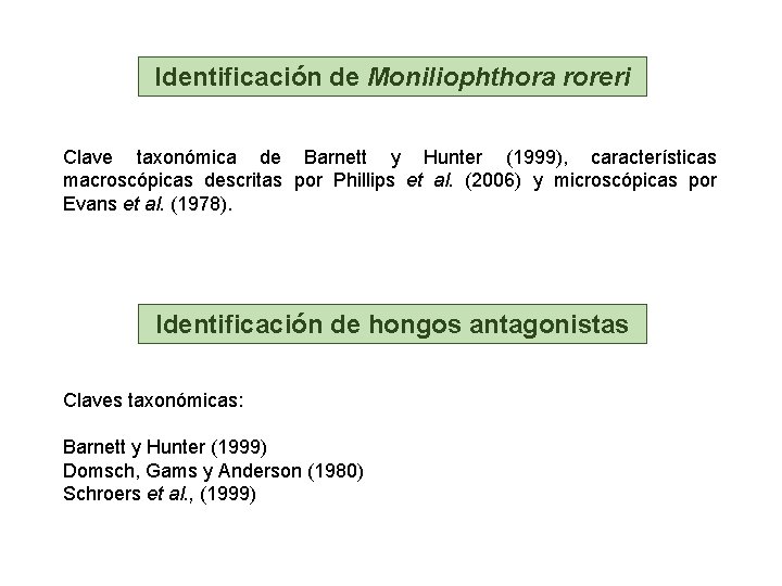 Identificación de Moniliophthora roreri Clave taxonómica de Barnett y Hunter (1999), características macroscópicas descritas