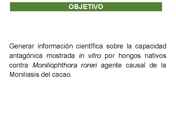 OBJETIVO Generar información científica sobre la capacidad antagónica mostrada in vitro por hongos nativos