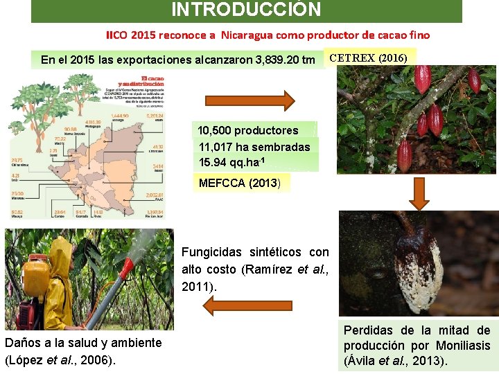 INTRODUCCIÓN IICO 2015 reconoce a Nicaragua como productor de cacao fino En el 2015