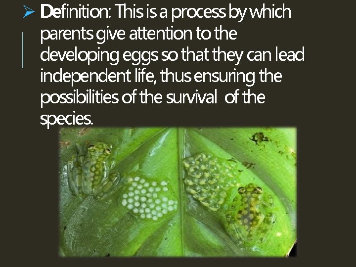 Ø Definition: This is a process by which parents give attention to the developing