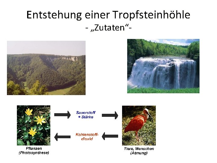 Was Ist Eine Protolyse Protolyse und ihre Bedeutung bei der Entstehung von