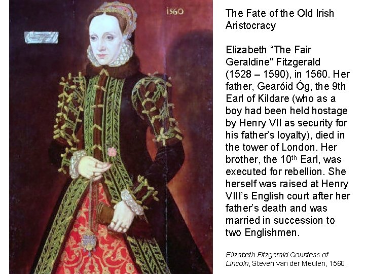 The Fate of the Old Irish Aristocracy Elizabeth “The Fair Geraldine" Fitzgerald (1528 –