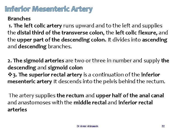 Inferior Mesenteric Artery Branches 1. The left colic artery runs upward and to the Inferior Mesenteric Artery Branches 1. The left colic artery runs upward and to the