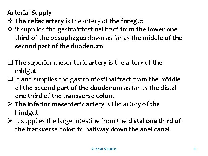 Arterial Supply v The celiac artery is the artery of the foregut v it Arterial Supply v The celiac artery is the artery of the foregut v it