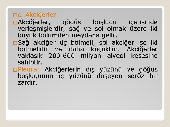 �c. Akciğerler �Akciğerler, göğüs boşluğu içerisinde yerleşmişlerdir, sağ ve sol olmak üzere iki büyük