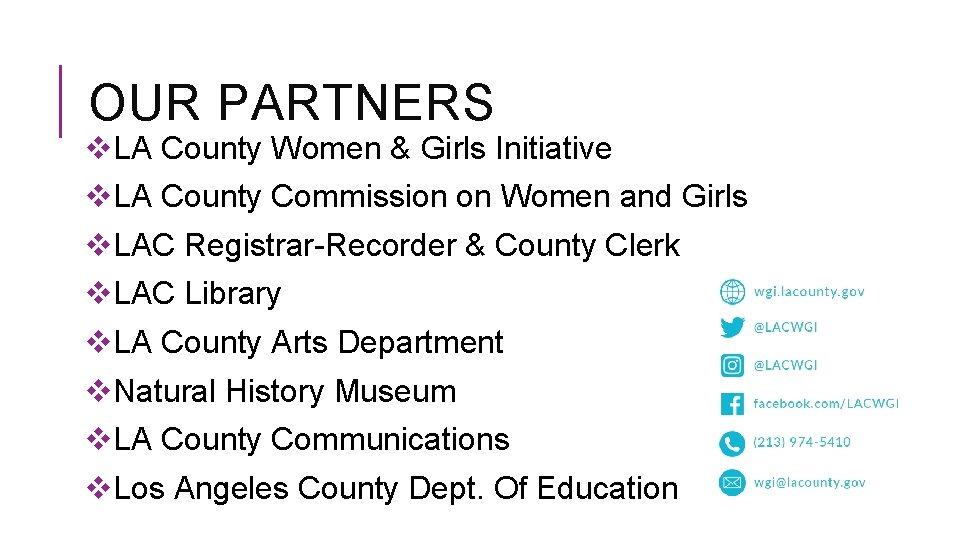 OUR PARTNERS v. LA County Women & Girls Initiative v. LA County Commission on