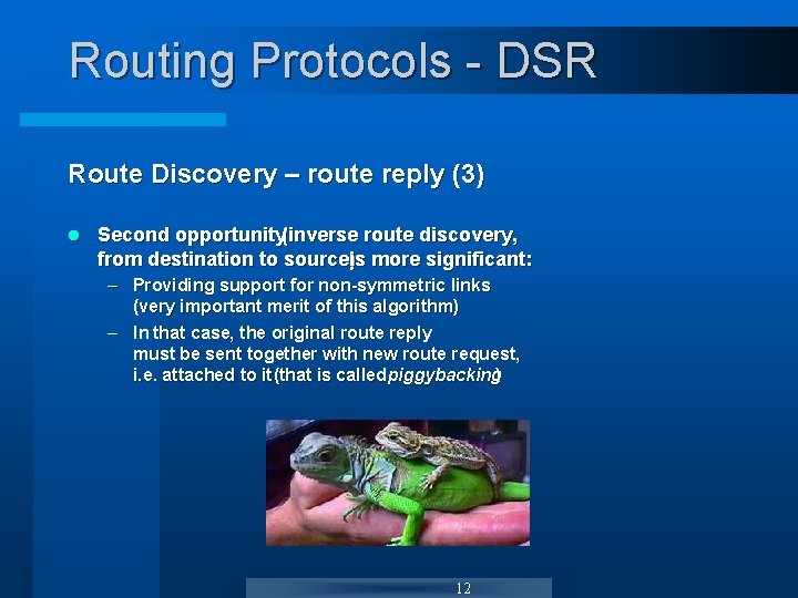 Routing Protocols - DSR Route Discovery – route reply (3) l Second opportunity(inverse route Routing Protocols - DSR Route Discovery – route reply (3) l Second opportunity(inverse route