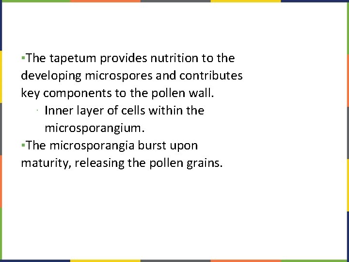 ▪The tapetum provides nutrition to the developing microspores and contributes key components to the