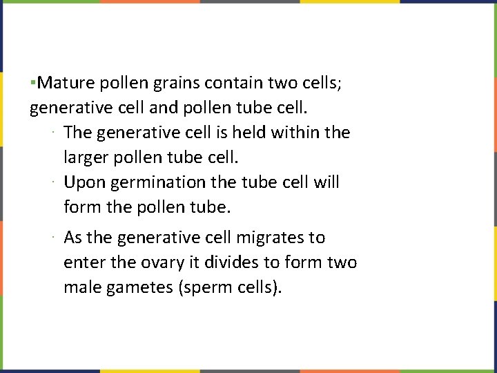 ▪Mature pollen grains contain two cells; generative cell and pollen tube cell. ∙ The