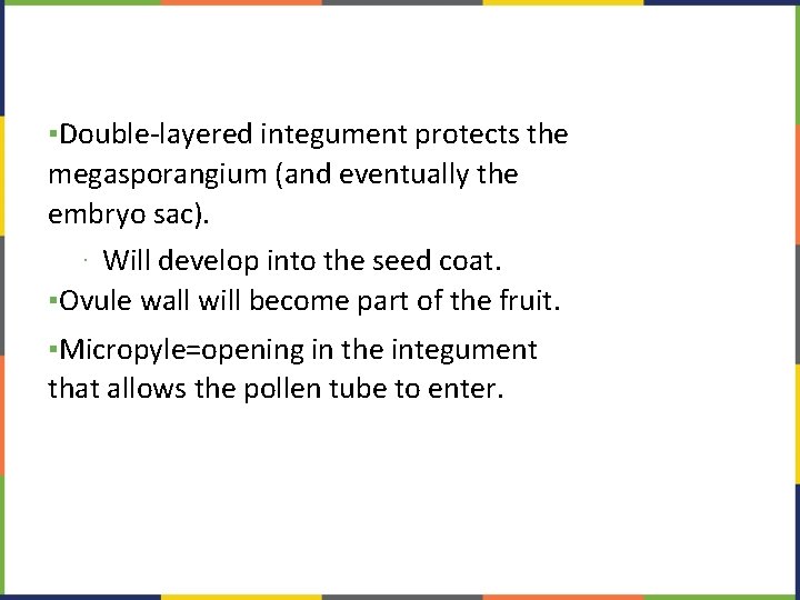 ▪Double-layered integument protects the megasporangium (and eventually the embryo sac). ∙ Will develop into