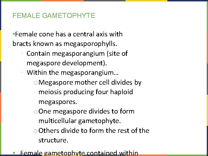 FEMALE GAMETOPHYTE ▪Female cone has a central axis with bracts known as megasporophylls. ∙