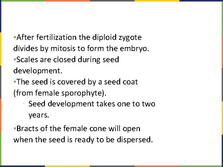 ▪After fertilization the diploid zygote divides by mitosis to form the embryo. ▪Scales are