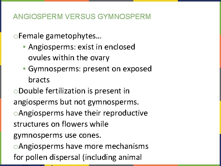ANGIOSPERM VERSUS GYMNOSPERM o. Female gametophytes… ▪ Angiosperms: exist in enclosed ovules within the