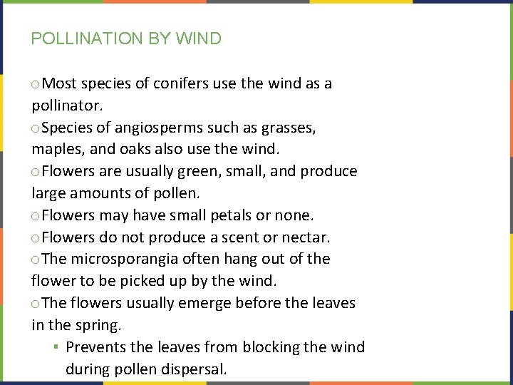 POLLINATION BY WIND o. Most species of conifers use the wind as a pollinator.