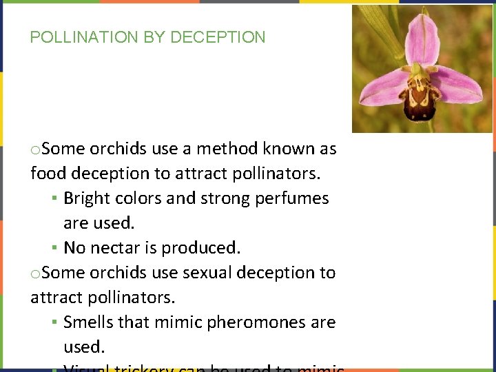 POLLINATION BY DECEPTION o. Some orchids use a method known as food deception to