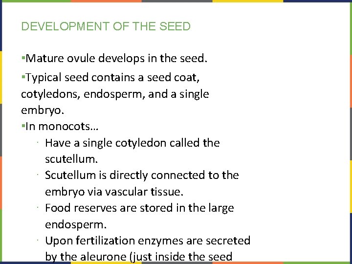 DEVELOPMENT OF THE SEED ▪Mature ovule develops in the seed. ▪Typical seed contains a