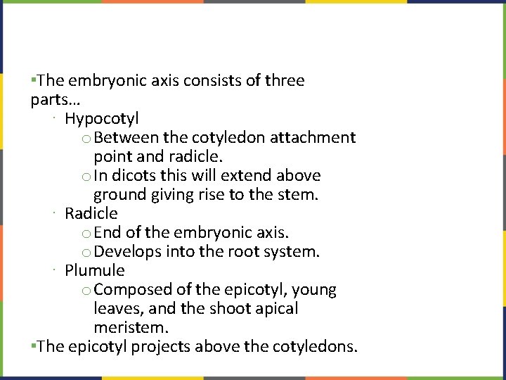 ▪The embryonic axis consists of three parts… ∙ Hypocotyl o. Between the cotyledon attachment