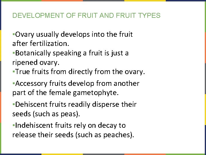 DEVELOPMENT OF FRUIT AND FRUIT TYPES ▪Ovary usually develops into the fruit after fertilization.