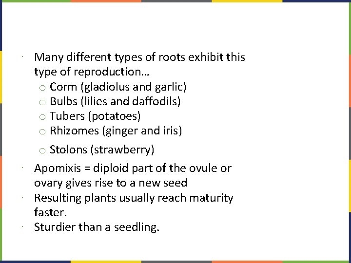 ∙ Many different types of roots exhibit this type of reproduction… o Corm (gladiolus
