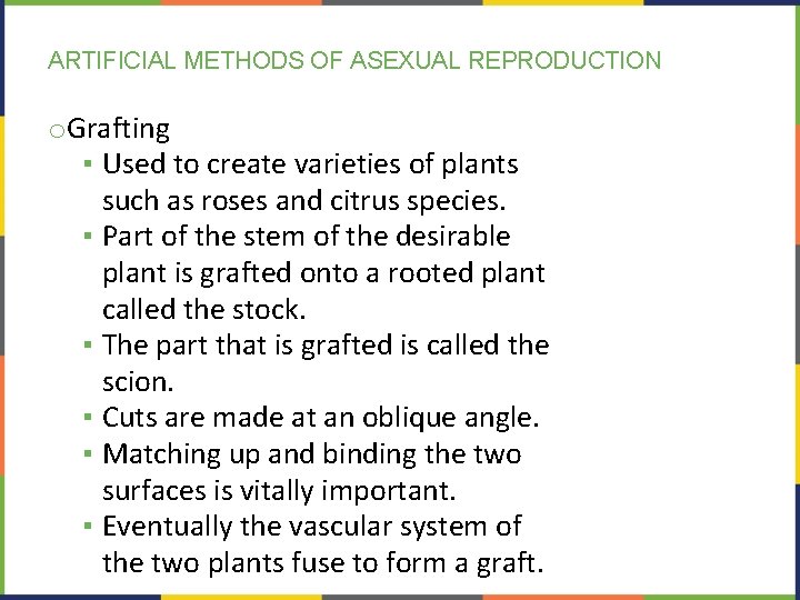ARTIFICIAL METHODS OF ASEXUAL REPRODUCTION o. Grafting ▪ Used to create varieties of plants