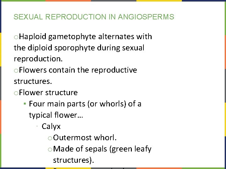 SEXUAL REPRODUCTION IN ANGIOSPERMS o. Haploid gametophyte alternates with the diploid sporophyte during sexual