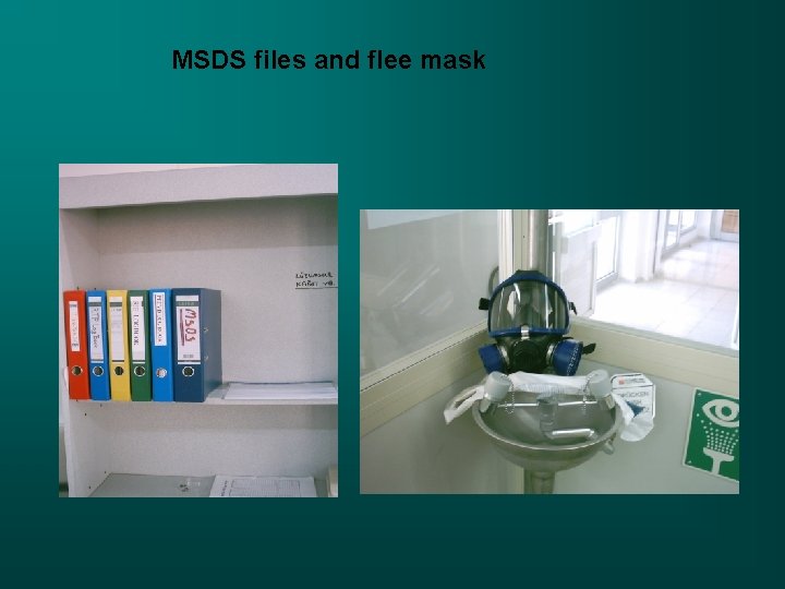 MSDS files and flee mask 