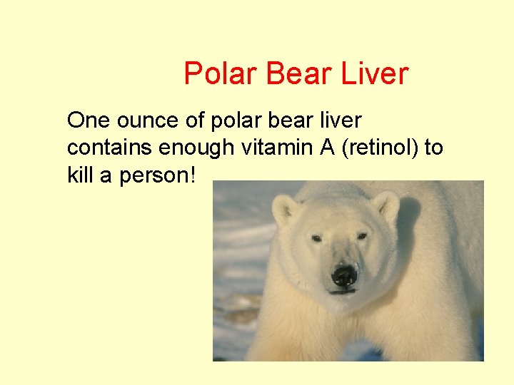 Polar Bear Liver One ounce of polar bear liver contains enough vitamin A (retinol)
