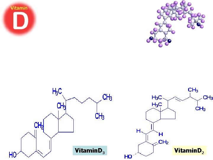Vitamin. D 3 Vitamin. D 2 