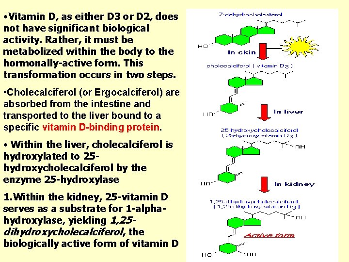  • Vitamin D, as either D 3 or D 2, does not have