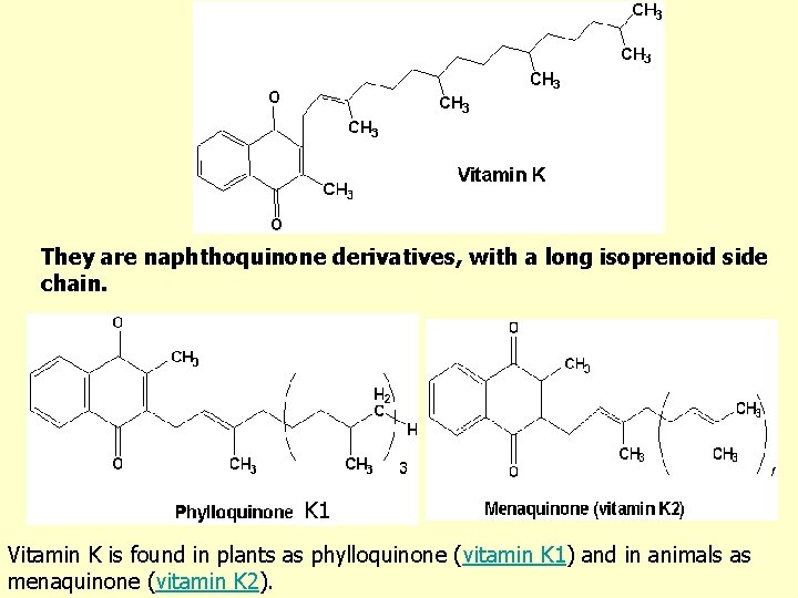 They are naphthoquinone derivatives, with a long isoprenoid side chain. K 1 Vitamin K
