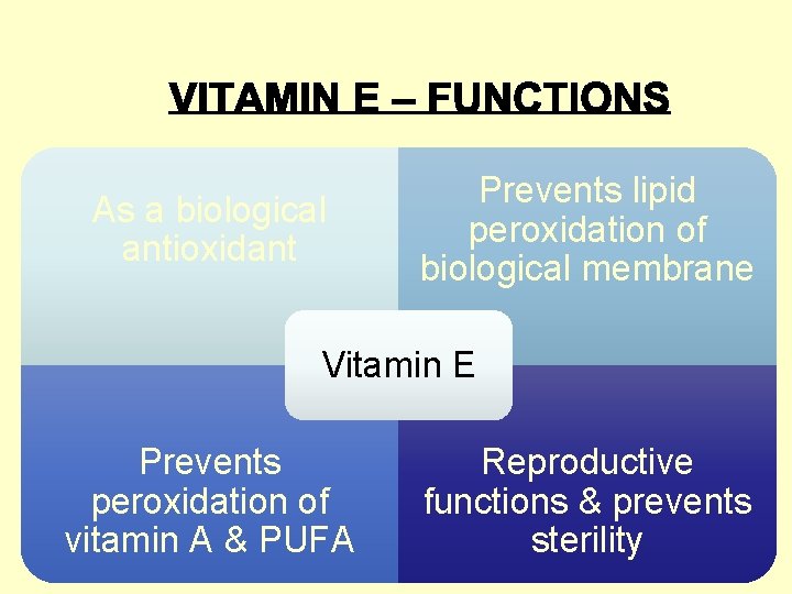 As a biological antioxidant Prevents lipid peroxidation of biological membrane Vitamin E Prevents peroxidation