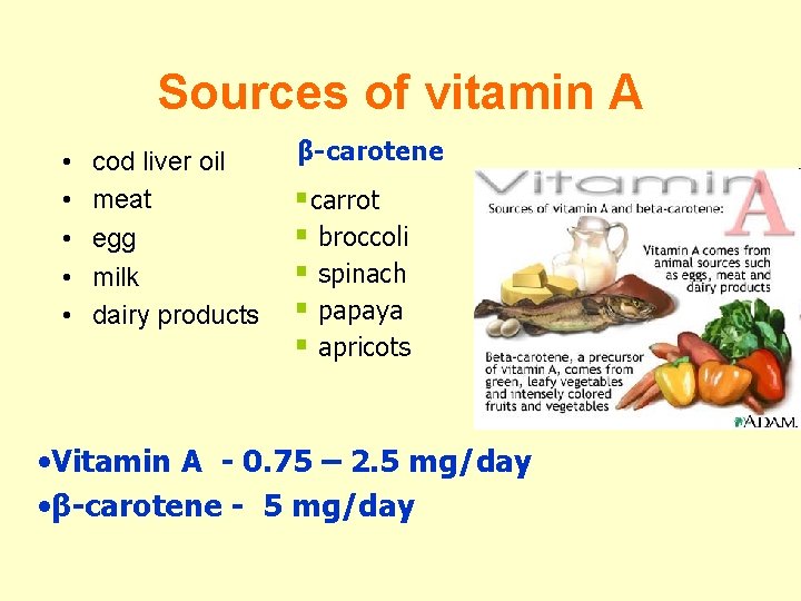 Sources of vitamin A • • • cod liver oil meat egg milk dairy