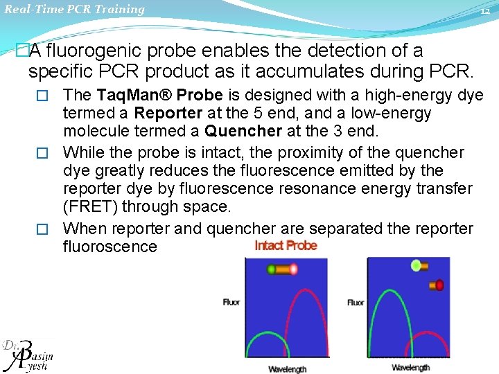 Real-Time PCR Training 12 �A fluorogenic probe enables the detection of a specific PCR