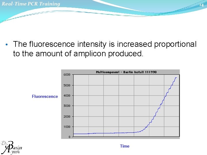 Real-Time PCR Training • The fluorescence intensity is increased proportional to the amount of