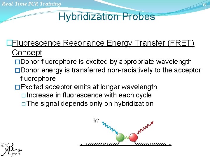 Real-Time PCR Training Hybridization Probes �Fluorescence Resonance Energy Transfer (FRET) Concept �Donor fluorophore is