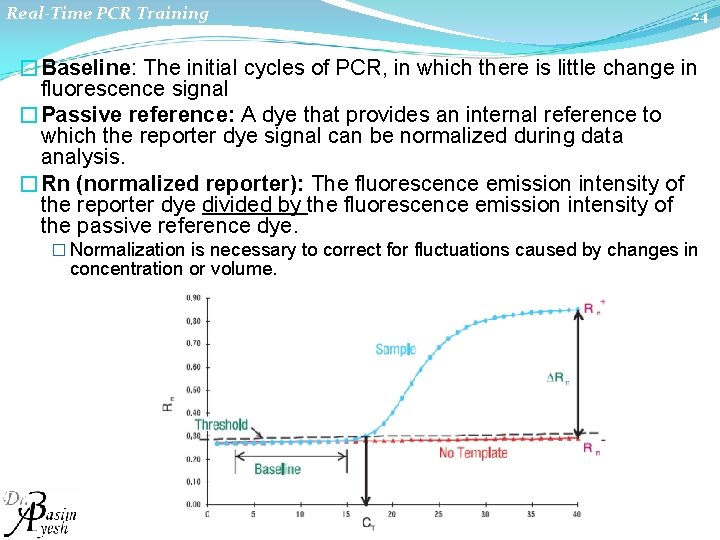 Real-Time PCR Training 24 �Baseline: The initial cycles of PCR, in which there is