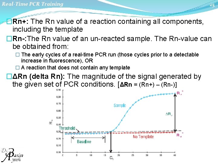 Real-Time PCR Training 25 �Rn+: The Rn value of a reaction containing all components,