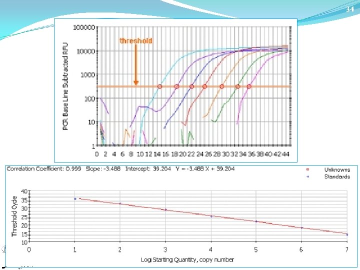 34 Real-Time PCR Training 