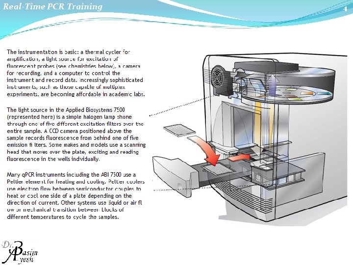 Real-Time PCR Training 4 