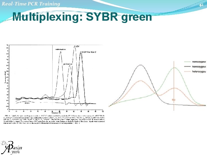 Real-Time PCR Training Multiplexing: SYBR green 42 