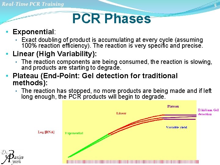 Real-Time PCR Training 5 PCR Phases • Exponential: • Exact doubling of product is