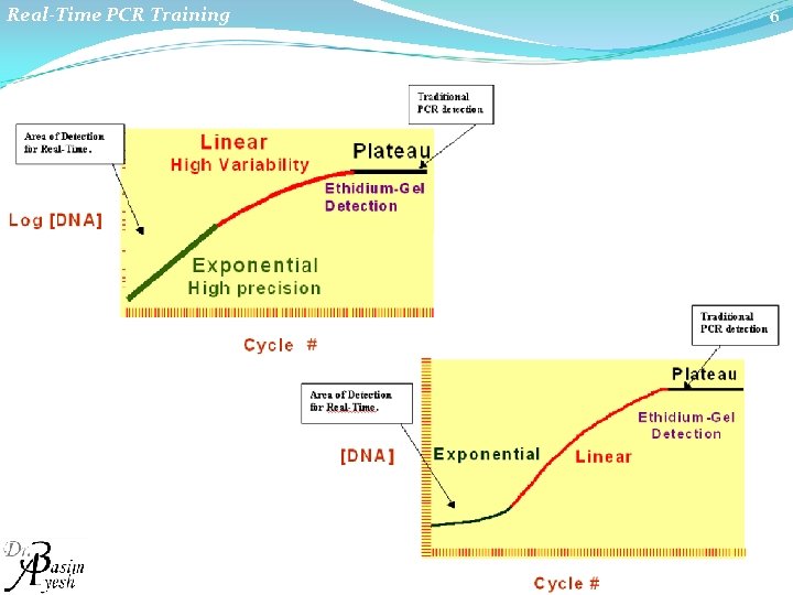 Real-Time PCR Training 6 