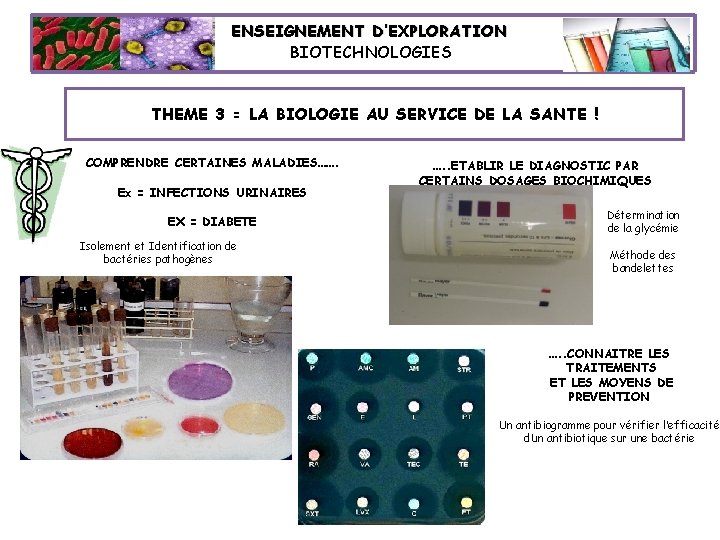 ENSEIGNEMENT D’EXPLORATION BIOTECHNOLOGIES THEME 3 = LA BIOLOGIE AU SERVICE DE LA SANTE !